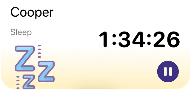 Timer-Widget