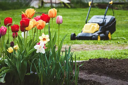 Outdoor Chore Management: Strategies for Maintaining a Tidy Yard, Garden, and Outdoor Living Space